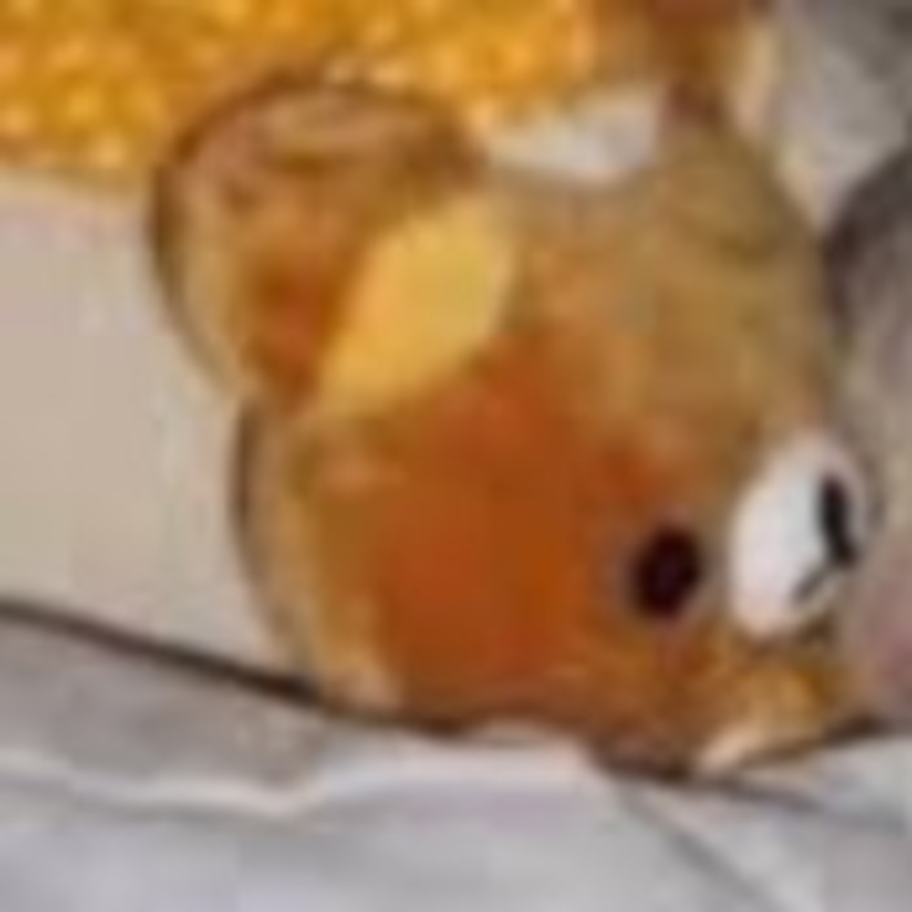 Meet your Posher, Lyra